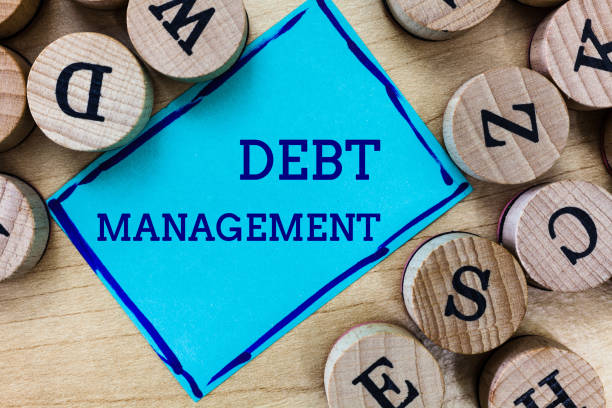 What does Debt Management mean