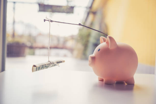 Debt Management Plans Mean